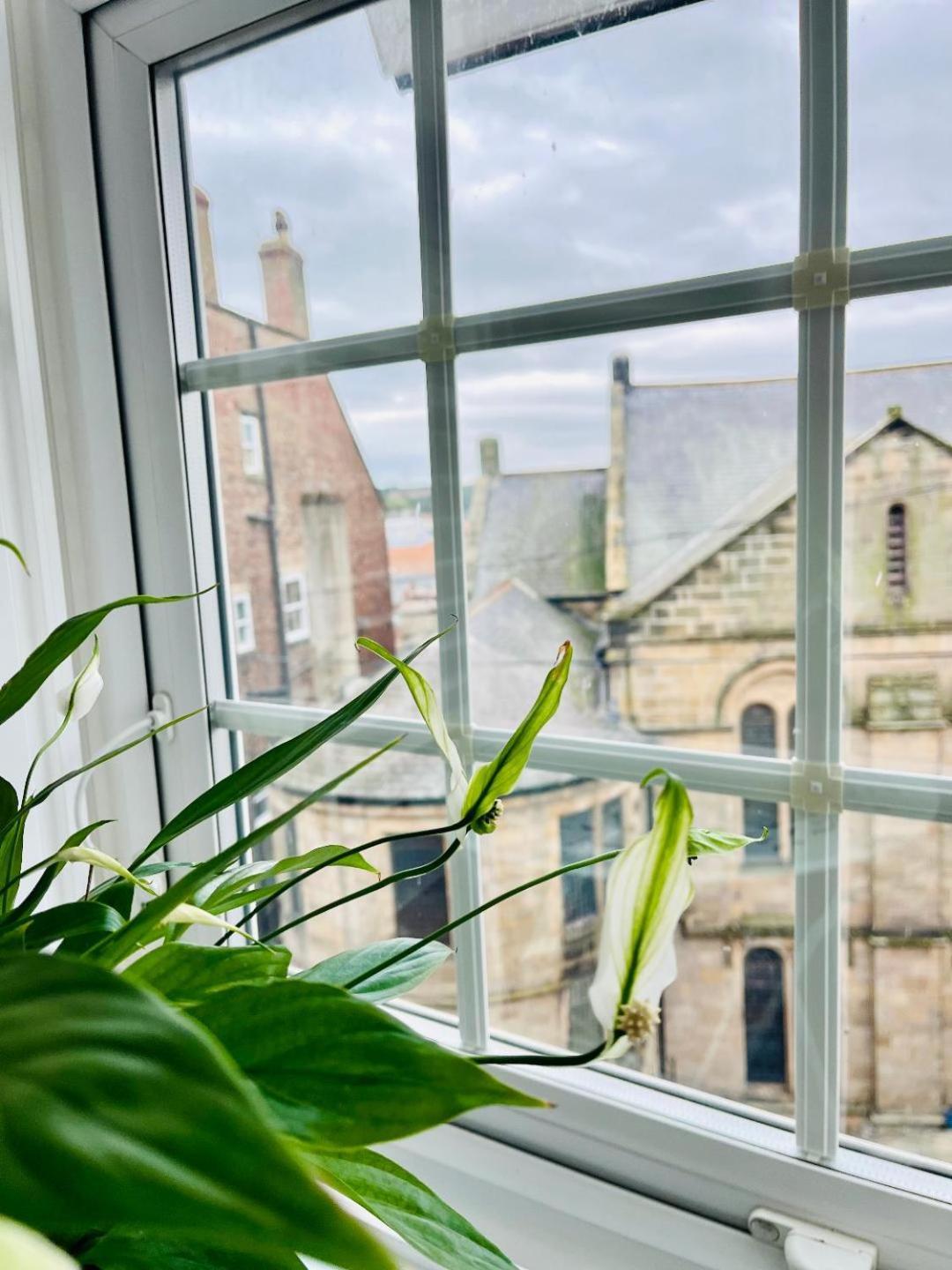 Apartmán Ingleside Mews Whitby Exteriér fotografie